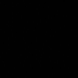 Meet your Posher, Ava